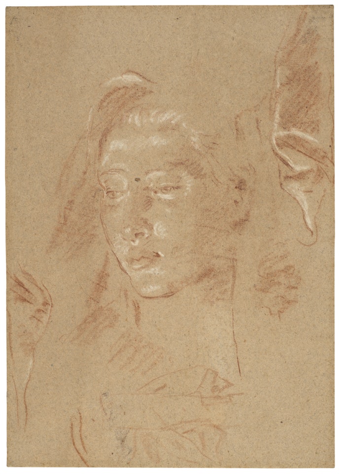 Study of a female head and of drapery by Giovanni Battista Tiepolo