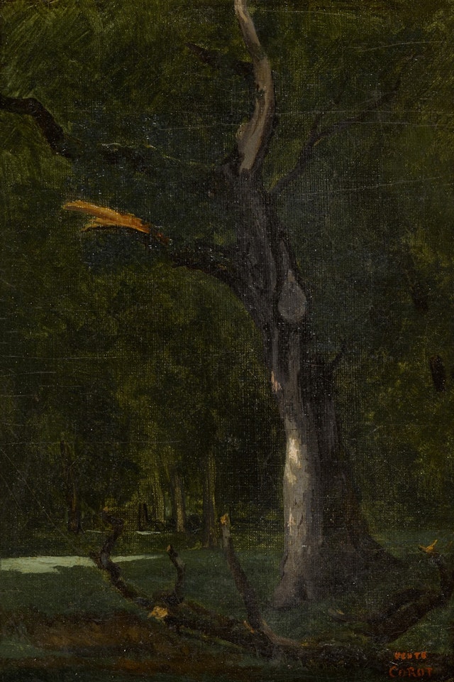 Un arbre mort sous bois by Jean Baptiste Camille Corot