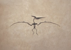 Modern & Contemporary Art Presents 'Out of this World'